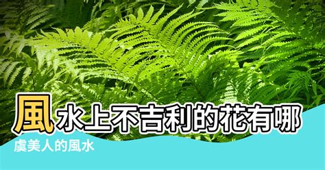 滿天星風水|滿天星養家裡吉利嗎 有哪些風水禁忌